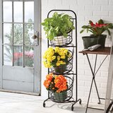 Mesa 3 Tier Market Basket with Stand