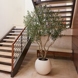 Artifical 8ft Olive Tree in Planter