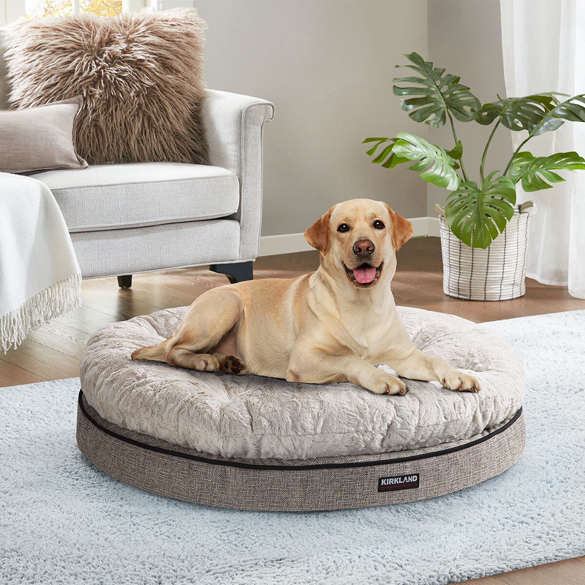 Kirkland Signature Round Pillow Orthopaedic Dog Bed, Grey with Ivory Carved Faux Fur