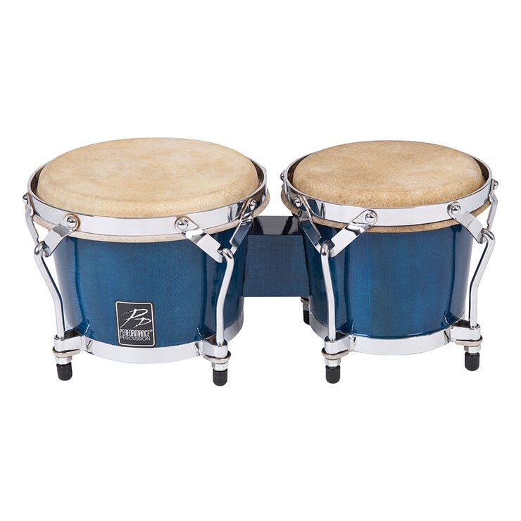 Bongo in blue Bongo in blue