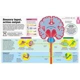 Page spread of How food works