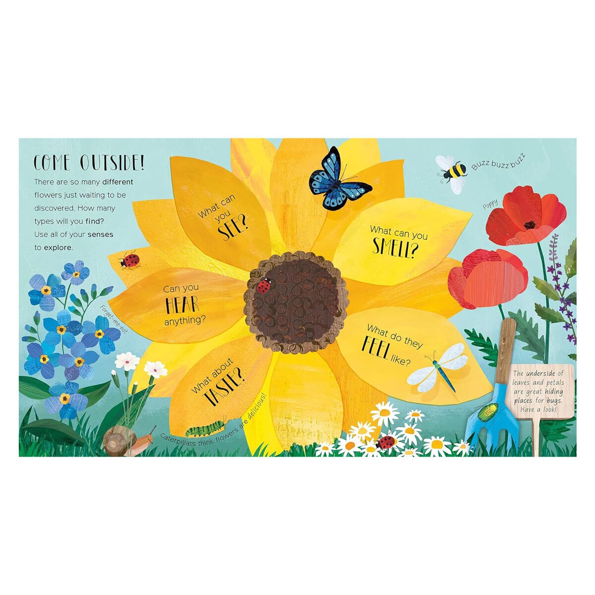One Little Seed