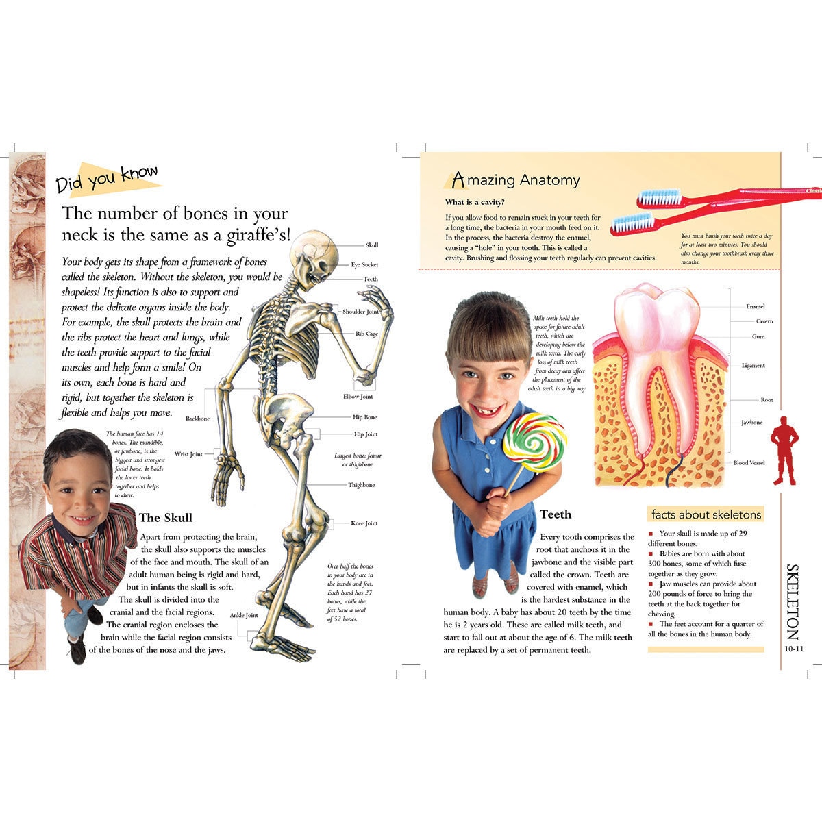 Image of two open covers