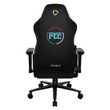 Back of Chair