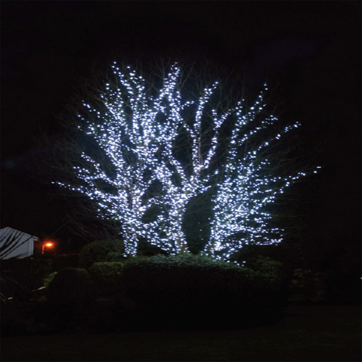 20m Lights4You 66ft 120 LED Ice White Outdoor String Lights 