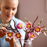 LEGO Botanicals Magnolia Branches - Model 11510 (18+ Years)