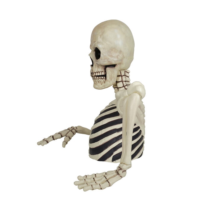 Giant Skeleton side view Image