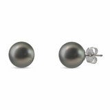 9-9.5mm Cultured Tahitian Pearl Stud Earrings, 14ct White Gold