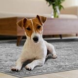 Wyatt & Ash Washable Area Rug in Grey, 183 x 274cm