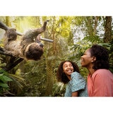 Go City San Diego Essentials Pass - San Diego Zoo