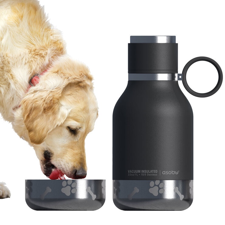 Dog licking Water from Bowl next to Bottle Dog licking Water from Bowl next to Bottle