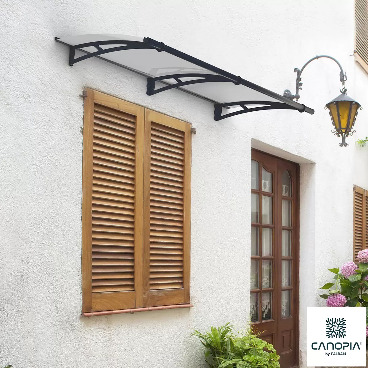 Palram Canopia Aquila 2050 Door/Patio Cover, Clear