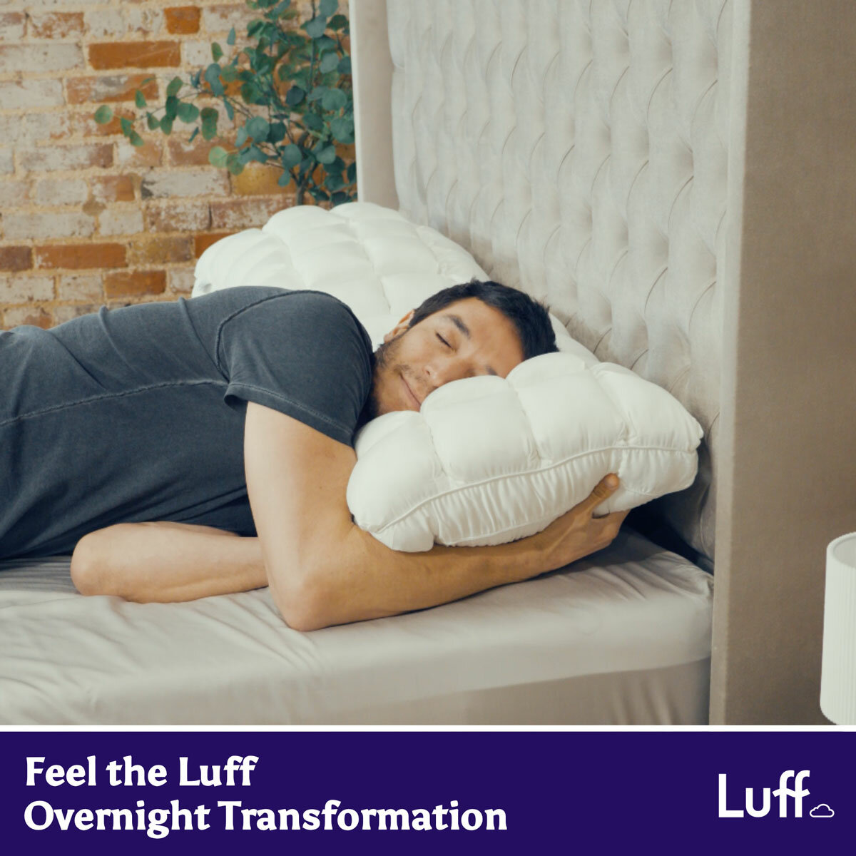 Luff Paradise Springs