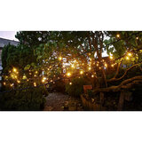 Buy Warm White String 20m 120 Bulbs LED Lights Close-up2 Image at Costco.co.uk