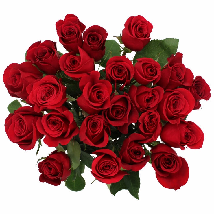 Two Dozen Freedom® Roses Bouquet with Greeting Card