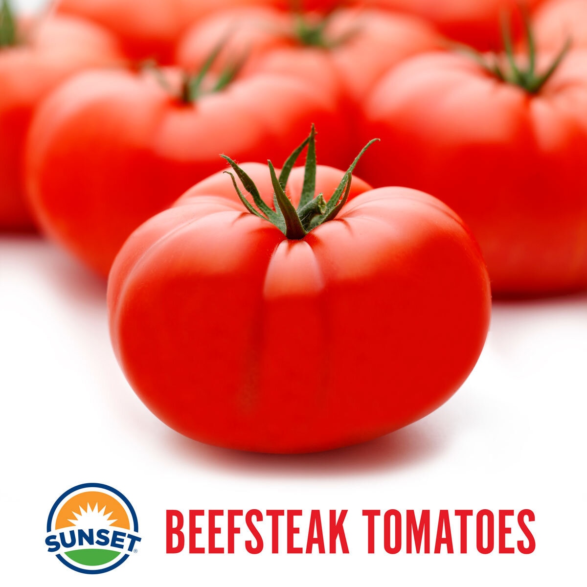 Beef Tomatoes