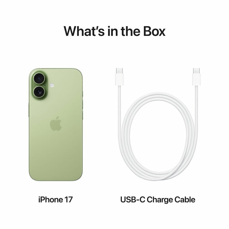 Buy Apple iPhone 17 256GB Sim Free Mobile Phone in Sage, MG6N4QN/A at costco.co.uk