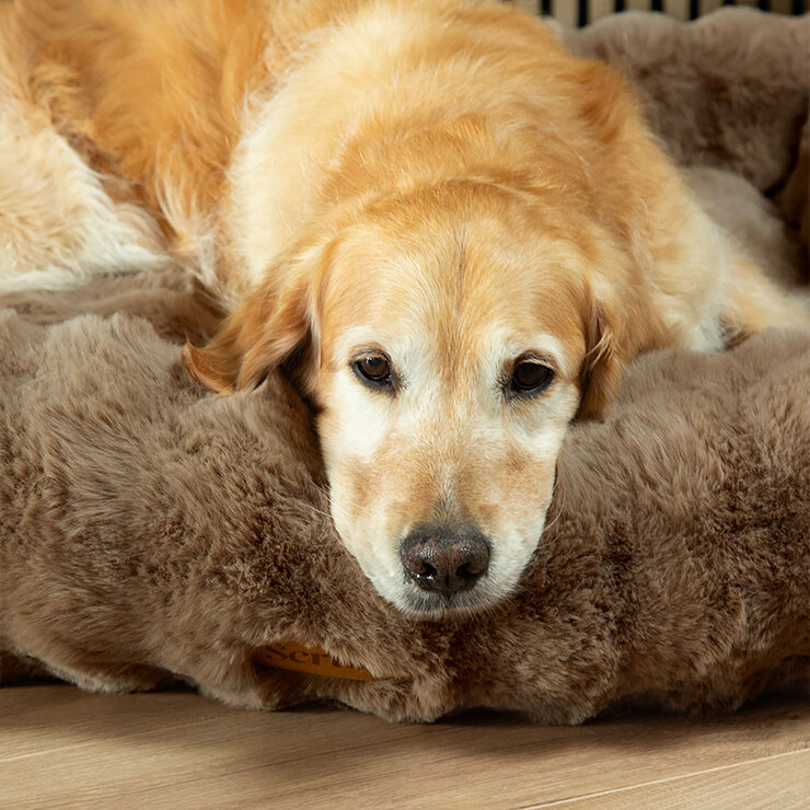 Scruffs Alpine Box Medium Pet Bed 60 x 50cm in Taupe