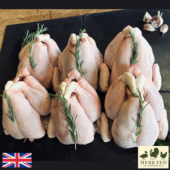 Herb Fed Free Range Whole Chickens, 6 x 2.2kg with Rosemary Sprig On Top