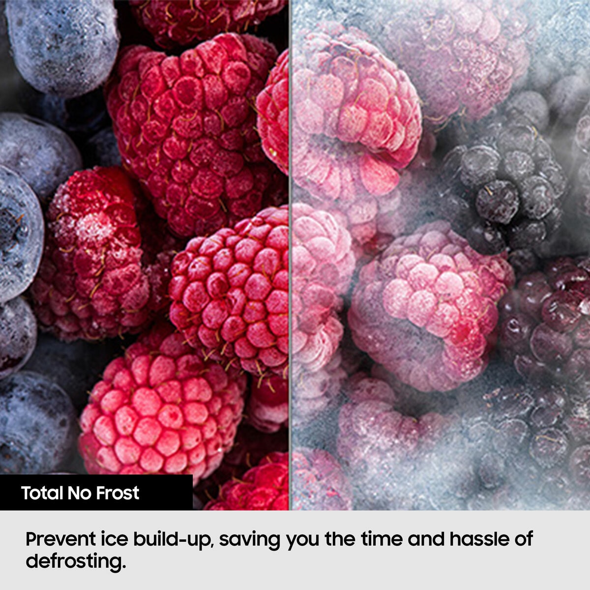 Samsung RR39C7BJ5SA/EU 377L Upright Fridge, E Rated in Silver