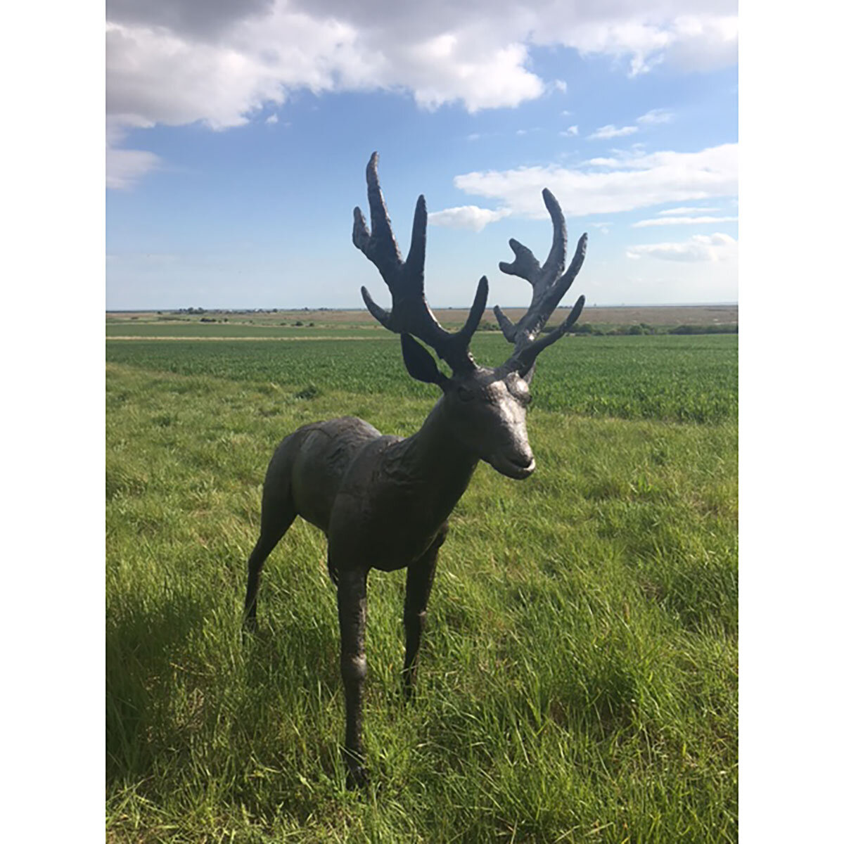 Lifesize Stag
