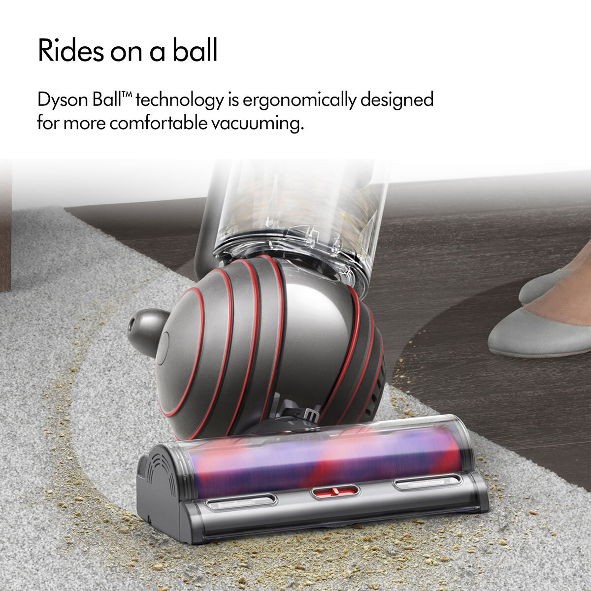 Dyson Ball™ Animal Upright Vacuum Cleaner