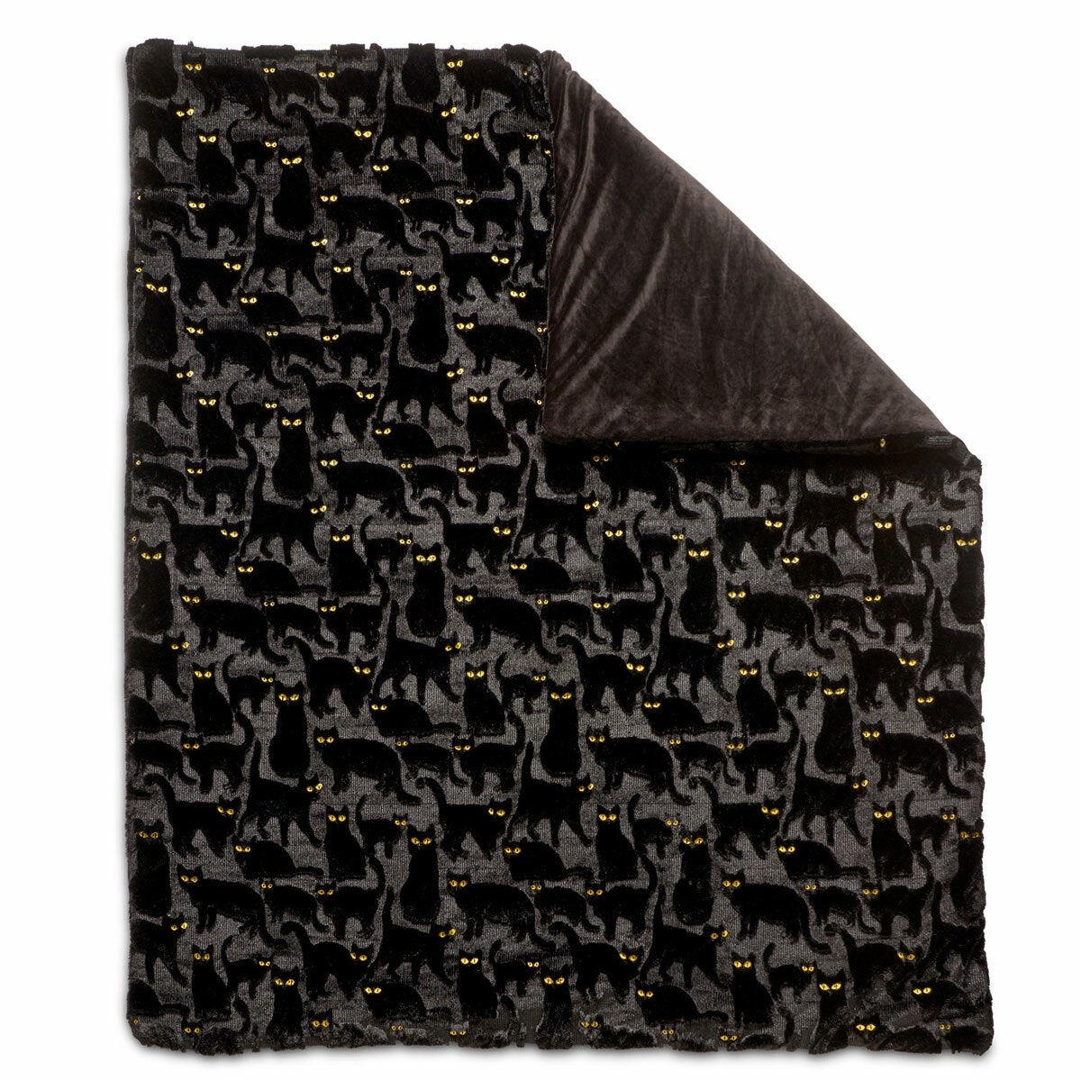 Ashford Home Embroidered Cat Halloween Throw, 152 x 178 cm
