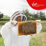 Virgin Experience Days Hiver's Rural Beekeeping and Beer Tasting Experience for Two