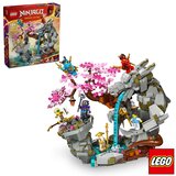 LEGO Ninjago Dragon Stone Shrine - Model 71819 (13+ Years)