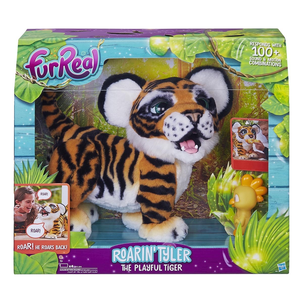 Tiger boxed image