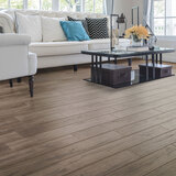 Golden Select Urban Grey (Oak) Splash Shield AC5 Laminate Flooring with Foam Underlay - 1.146 m² Per Pack