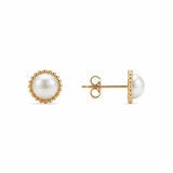 6.5-7mm Cultured Freshwater White Pearl Earrings, 14ct Yellow Gold