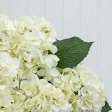 Artificial Hydrangea Floor Plant in Planter