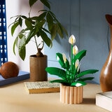 LEGO Botanicals Peace Lily - Model 11504 (18+ Years) LEGO Botanicals Peace Lily - Model 11504 (18+ Years)