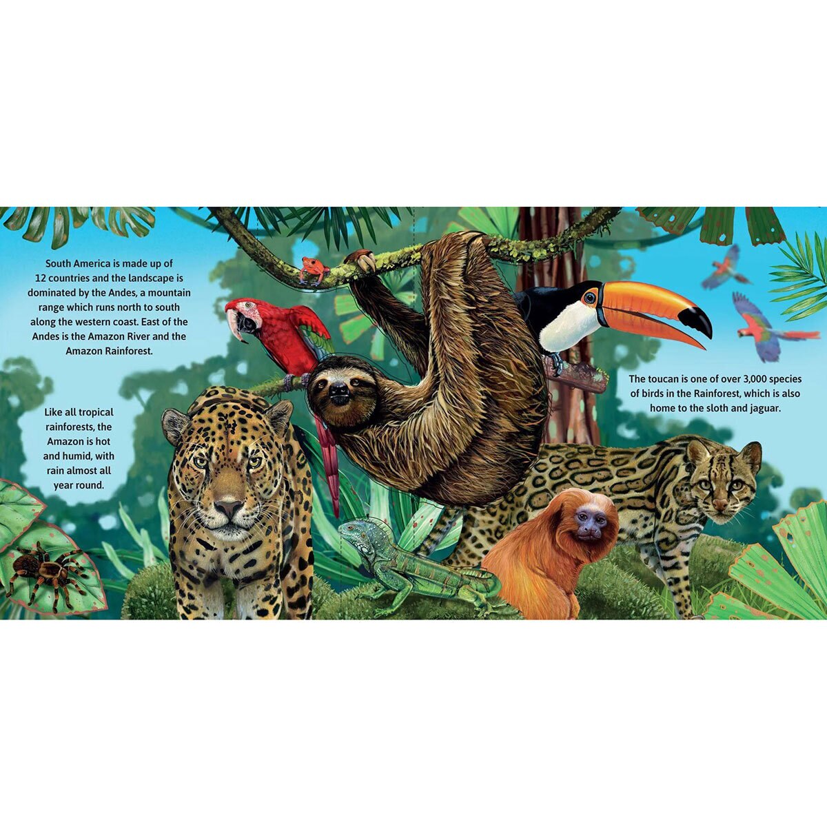 Wild Animals 2
