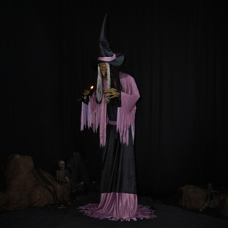 Buy 10ft Animated Witch Side 2 Image at Costco.co.uk Buy 10ft Animated Witch Side 2 Image at Costco.co.uk
