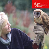 Buy Virgin Experience One Hour Private Owl Encounter Image3 at Costco.co.uk