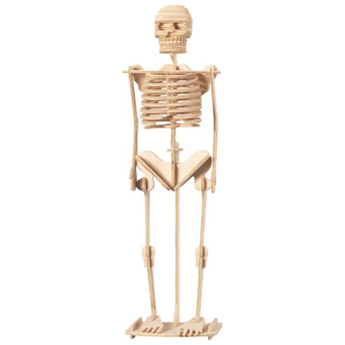 Cut out oimage of wooden human skeleton