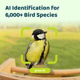Birdfy Bamboo Bird Feeder with Solar Panel, HD Camera & Lifetime AI Feature Access
