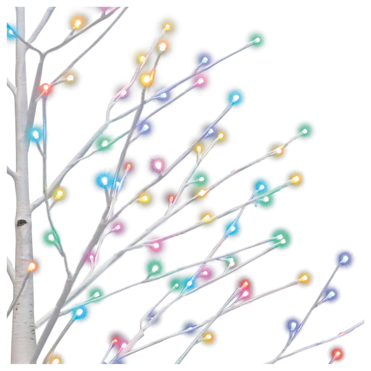 Buy Colour Select LED Birch Tree Multi-Colour Image at Costco.co.uk