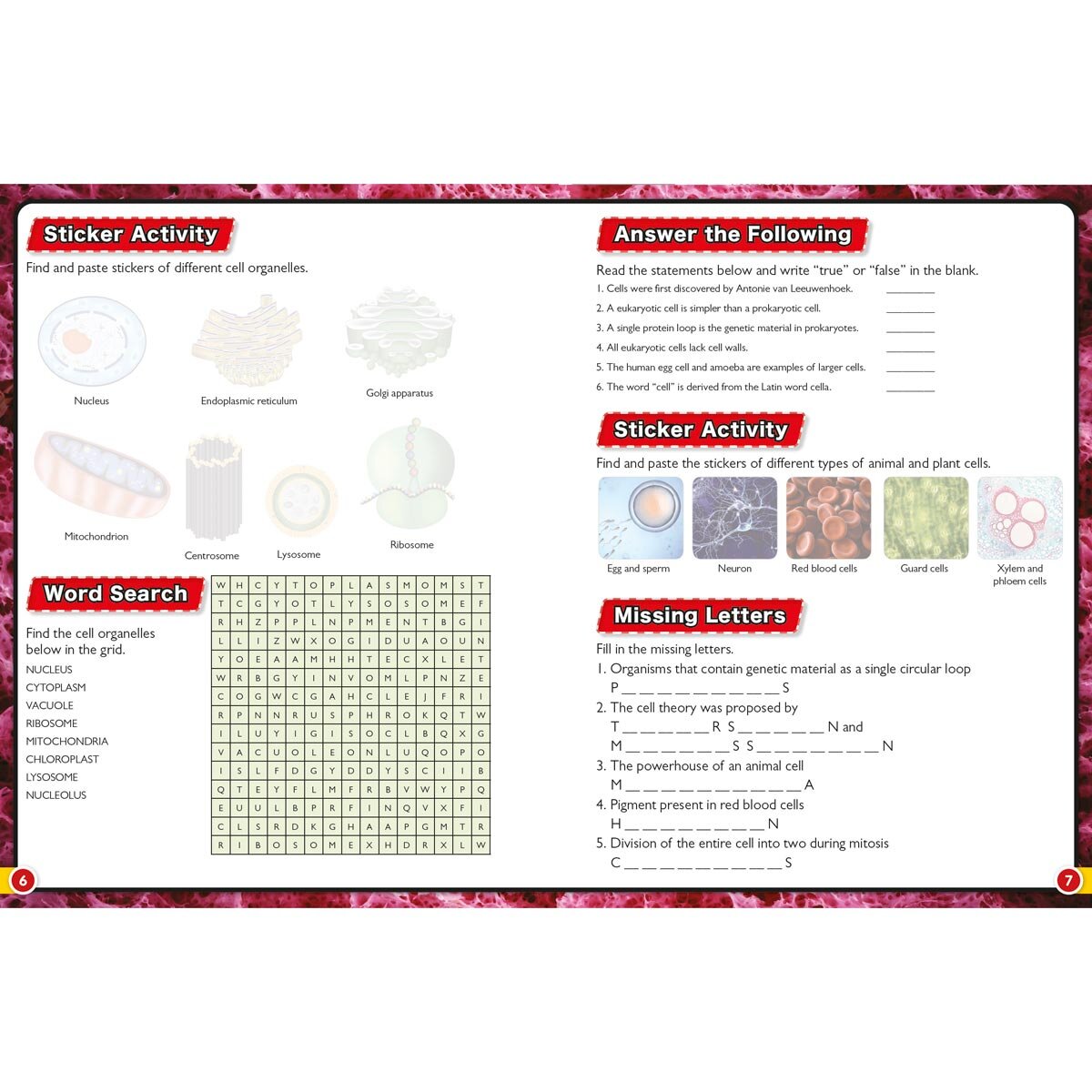 Wonders of Learning Activity Book in 2 Options: Stickers or Puzzles