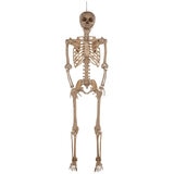 Halloween 7ft (2.1m) Poseable Skeleton Halloween 7ft (2.1m) Poseable Skeleton