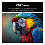 qned evo