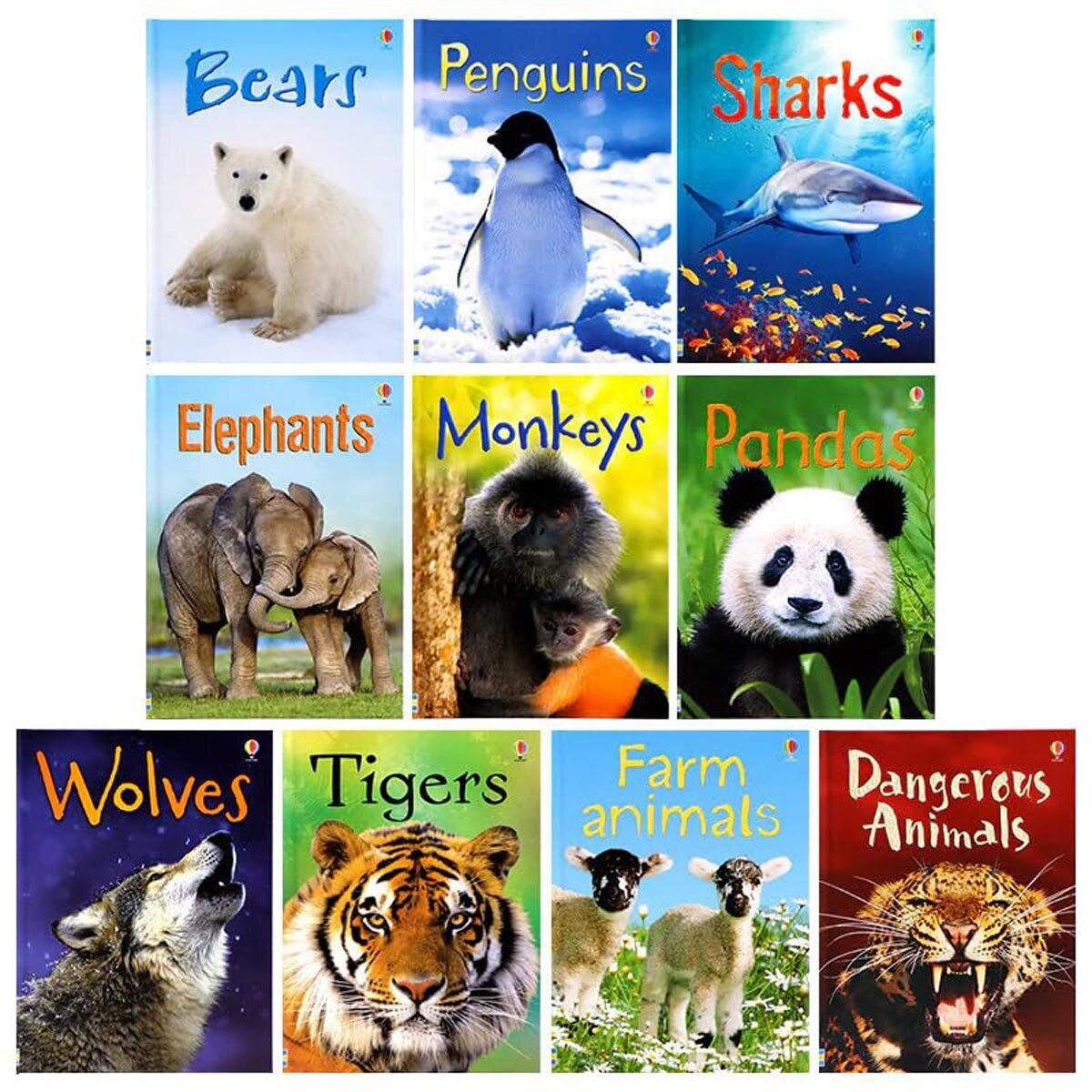 Animals