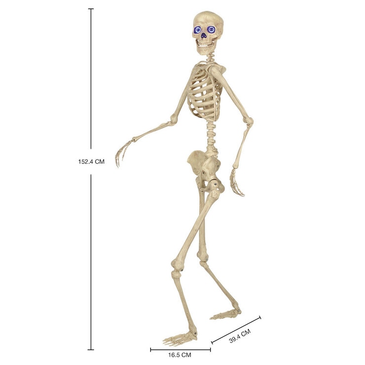 Halloween 5ft (1.5m) Skeleton With LED Eyes & Sounds