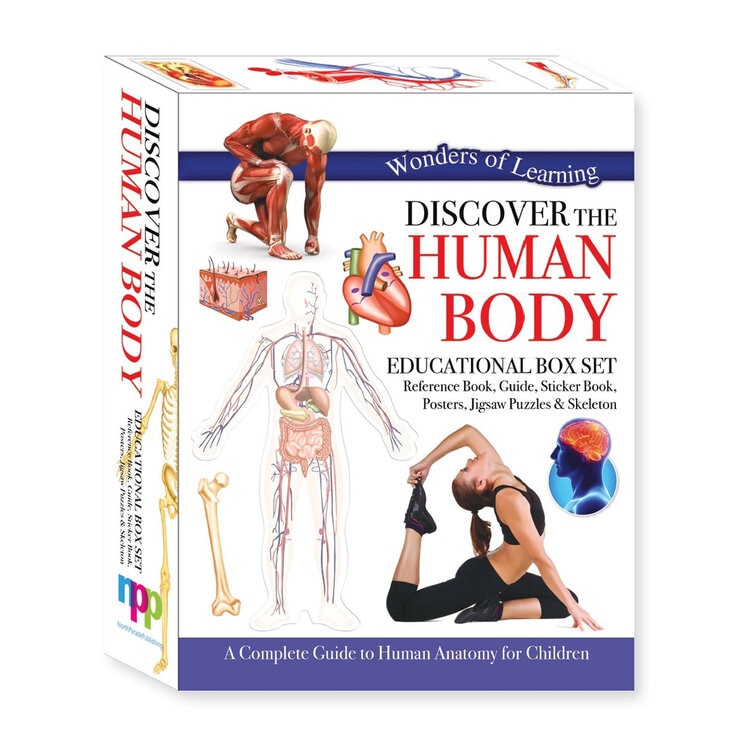 Human Body Human Body
