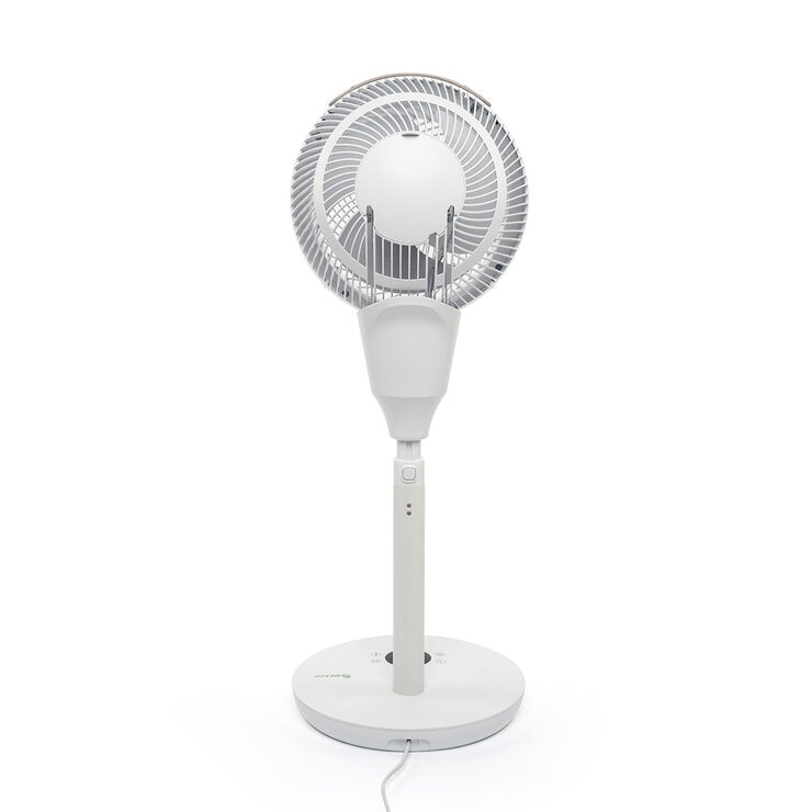 image of fan image of fan