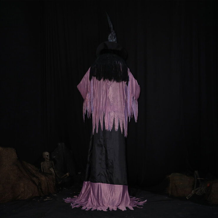 Buy 10ft Animated Witch Back Image at Costco.co.uk Buy 10ft Animated Witch Back Image at Costco.co.uk