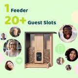 Birdfy Bamboo Bird Feeder with Solar Panel, HD Camera & Lifetime AI Feature Access