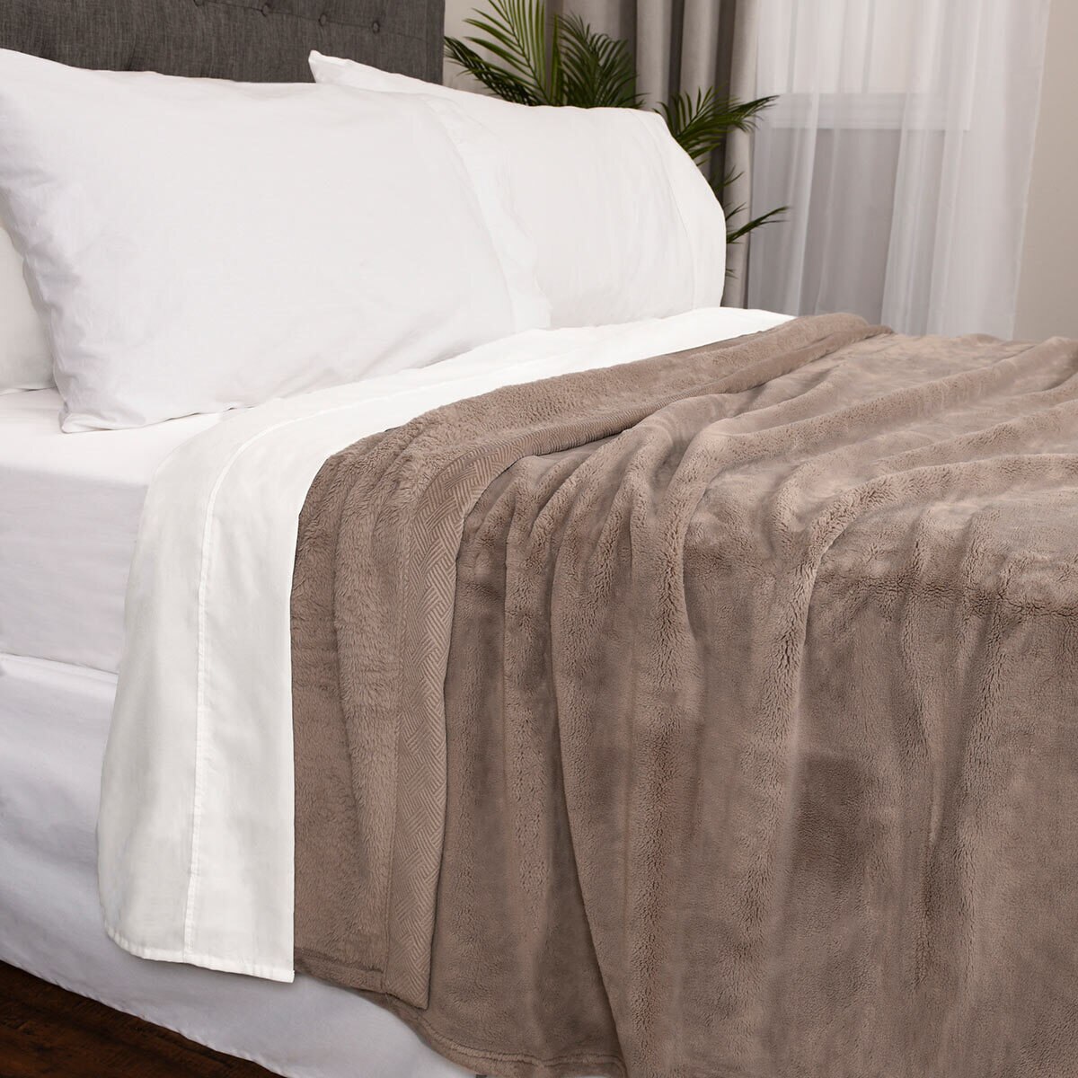 Kirkland Signature King Size Plush Blanket in 4 Colours, 248 x 233 cm